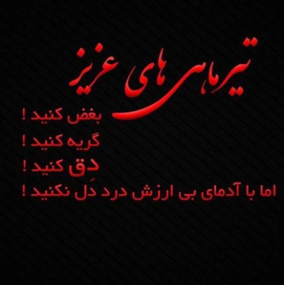 تیر ماهی های عزیز