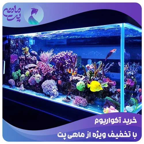 خرید آکواریوم با تخفیف ویژه از ماهی پت!