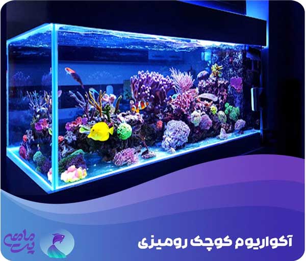 آکواریوم زیبا