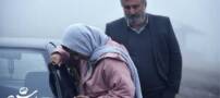 آبی روشن؛ معناگرا و به رنگ آبی فیروزه