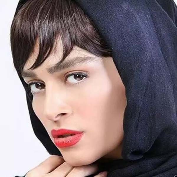 اندیشه فولادوند در تنهایی لیلا
