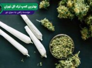آشنایی با بهترین کمپ ترک گل در تهران و خدمات آن