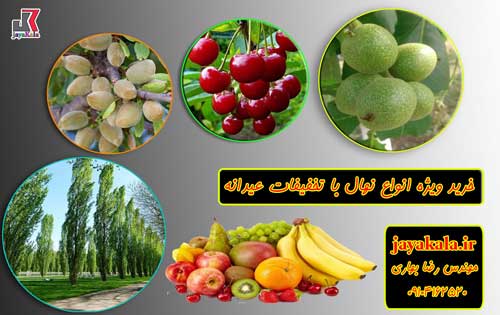 خرید ویژه انواع نهال با تخفیفات عید نوروز