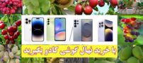 با 70 درصد تخفیف نهال بخر و گوشی کادو بگیر