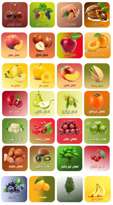 لیست نهال جایا کالا