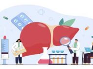 پاکسازی کبد چرب گرید 2 با مکمل لیورویت