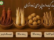 قویترین راه‌های درمان زودانزالی با گیاهان دارویی
