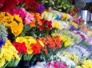 بهترین گل فروشی ها برای سفارش دسته گل عروس