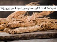 ۷ خاصیت شگفت انگیز عصاره جینسینگ برای ورزشکاران