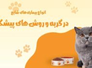 انواع بیماری‌های شایع در گربه و روش‌های پیشگیری