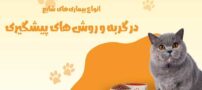 انواع بیماری‌های شایع در گربه و روش‌های پیشگیری