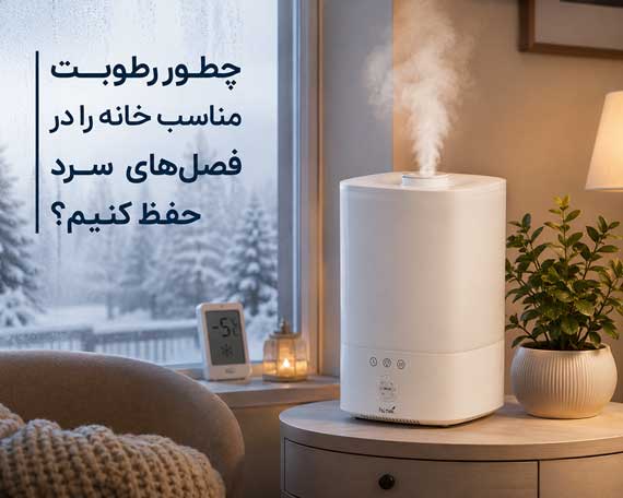 چطور رطوبت مناسب خانه را در فصل‌های سرد حفظ کنیم؟