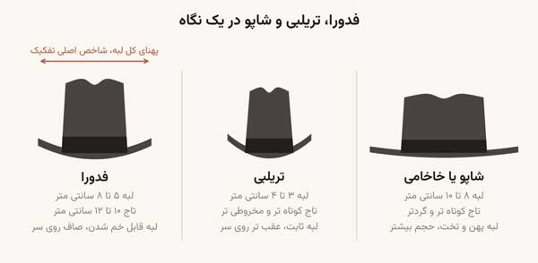 فدورا، تریبلی و شاپو