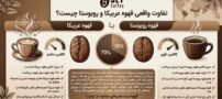 تفاوت قهوه عربیکا و روبوستا چیست؟ کدام دانه برای شما مناسب تر است؟