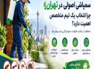 سمپاشی اصولی در تهران؛ چرا انتخاب یک تیم متخصص اهمیت دارد؟