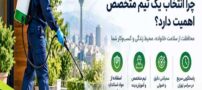 سمپاشی اصولی در تهران؛ چرا انتخاب یک تیم متخصص اهمیت دارد؟