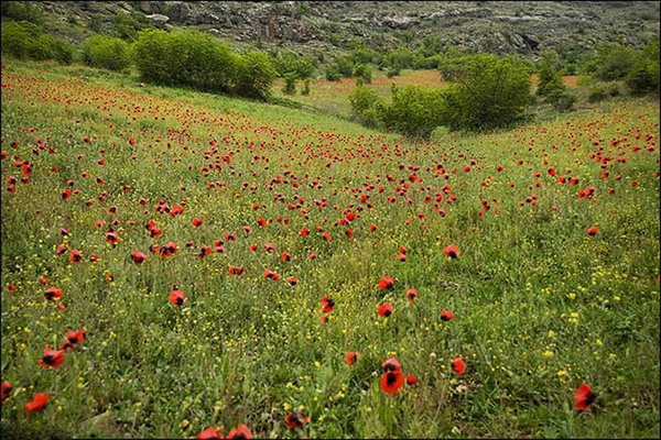 بهشت گمشده ایران همینجاست + عکس