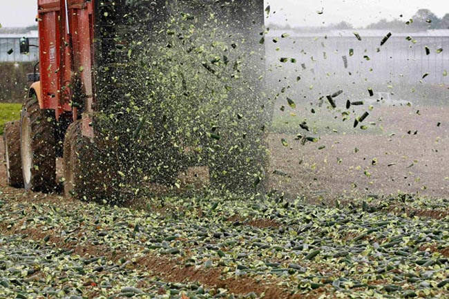 عکسهای جالب و دیدنی روز