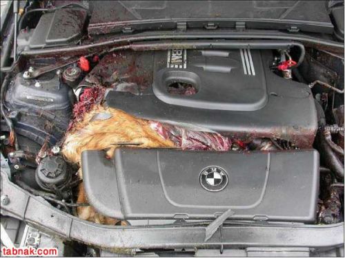می دونی فرق BMW و پراید چیه؟!