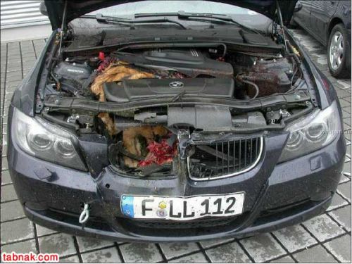می دونی فرق BMW و پراید چیه؟!