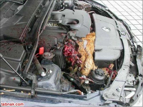 می دونی فرق BMW و پراید چیه؟!