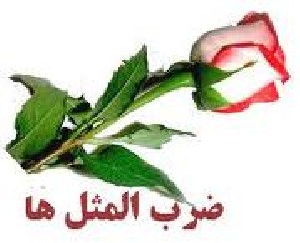ضرب المثل های جالب به روزشده و مدرن !