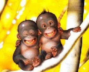 عکس های خنده دار از مد روز