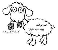 اس ام اس های خنده دار و سرکاری عید قربان