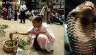 ازدواج بسیار عجیب زن 30 ساله با یک مار کبری + عکس