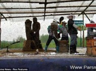 کار جالب و خطرناک یک زوج شجاع برای اثبات عشقشان