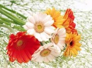 نحوه درست خواندن صیغه ازدواج موقت