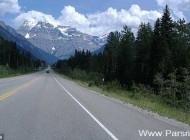 بزرگراهی در کنادا که به قتلگاه زنان تبدیل شده است +عکس