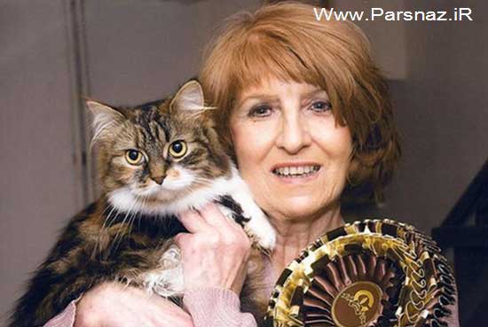 این خانم تمام عمر و زندگی اش را به پای گربه هایش گذاشت