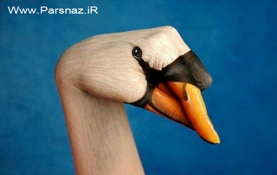عکس های دیدنی از نقاشی های هنرمندانه و زیبا روی دست