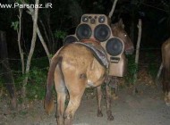 عکس های خنده دار از ابتکار به خرج دادن این افراد