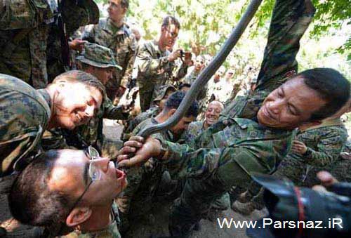 عکس های وحشتناک از خوردن خون مار کبری توسط نظامیان