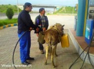 عکس های داغ و خنده دار از سوتی های ایرانی