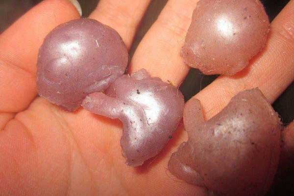 عکس های دیدنی و غیر عادی از بیگانگان مرده (16+) 