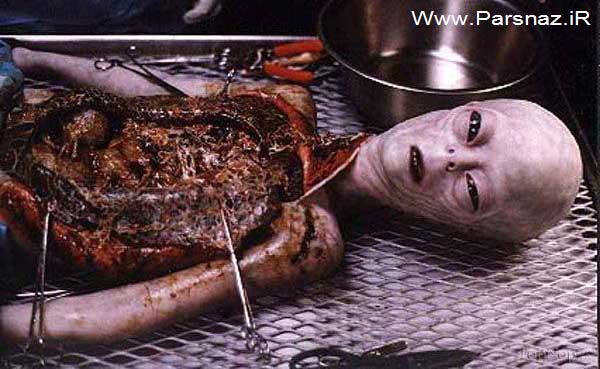 عکس های دیدنی و غیر عادی از بیگانگان مرده (16+) 