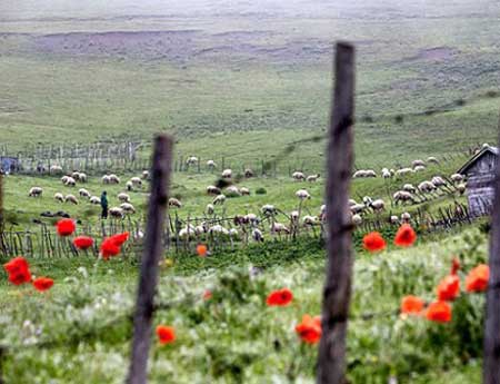 عکس هایی از روستاهای شگفت انگیز برای مسافرت بهاری