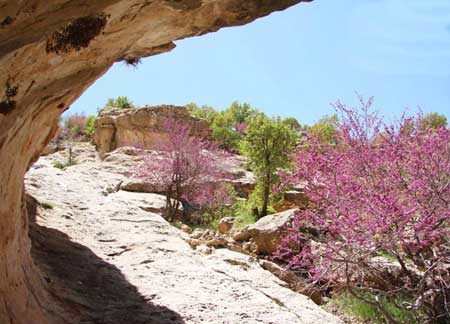 عکس هایی از روستاهای شگفت انگیز برای مسافرت بهاری