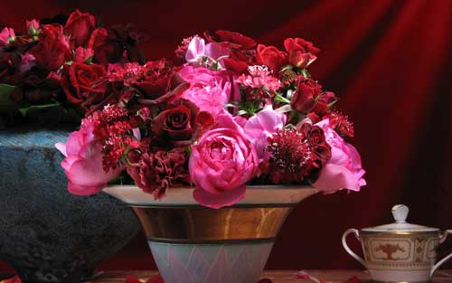 گل های بسیار زیبا و خارق العاده (عکس)