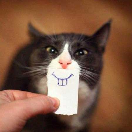 عکس های خنده دار و جالب جدید