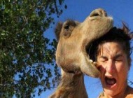 دشمنی عجیب حیوانات به دختران (عکس)