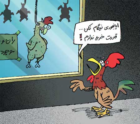 عکس های جالب و بدون شرح 