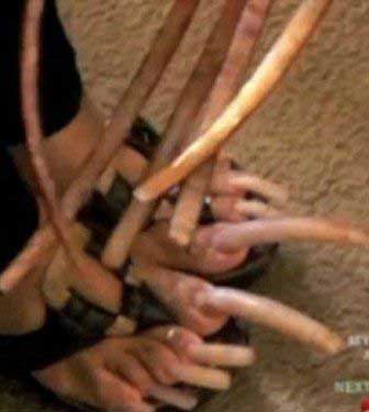 زنی که از ناخن های چندش آورش رضایت دارد (عکس)