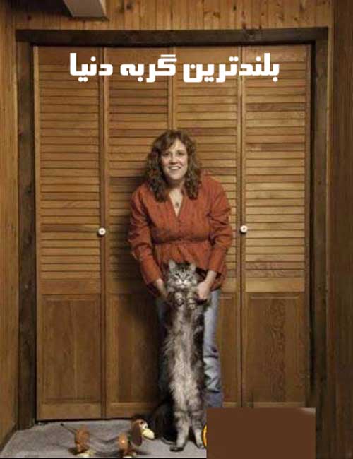 عکس های جالب از رکوردهای گینس