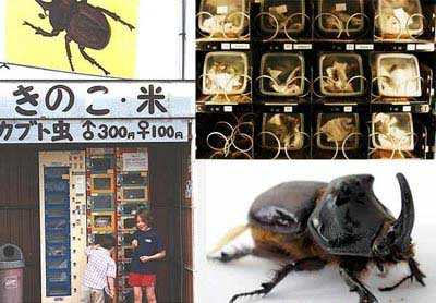 خارق العاده ترین دستگاه های خودپرداز (عکس)