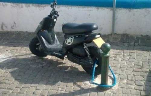 تصاویر سوژه و خنده دار