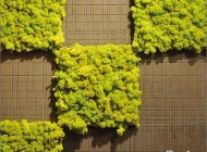 با این کاشی ها روی دیوار خانه باغ ایجاد کنید..(عکس)